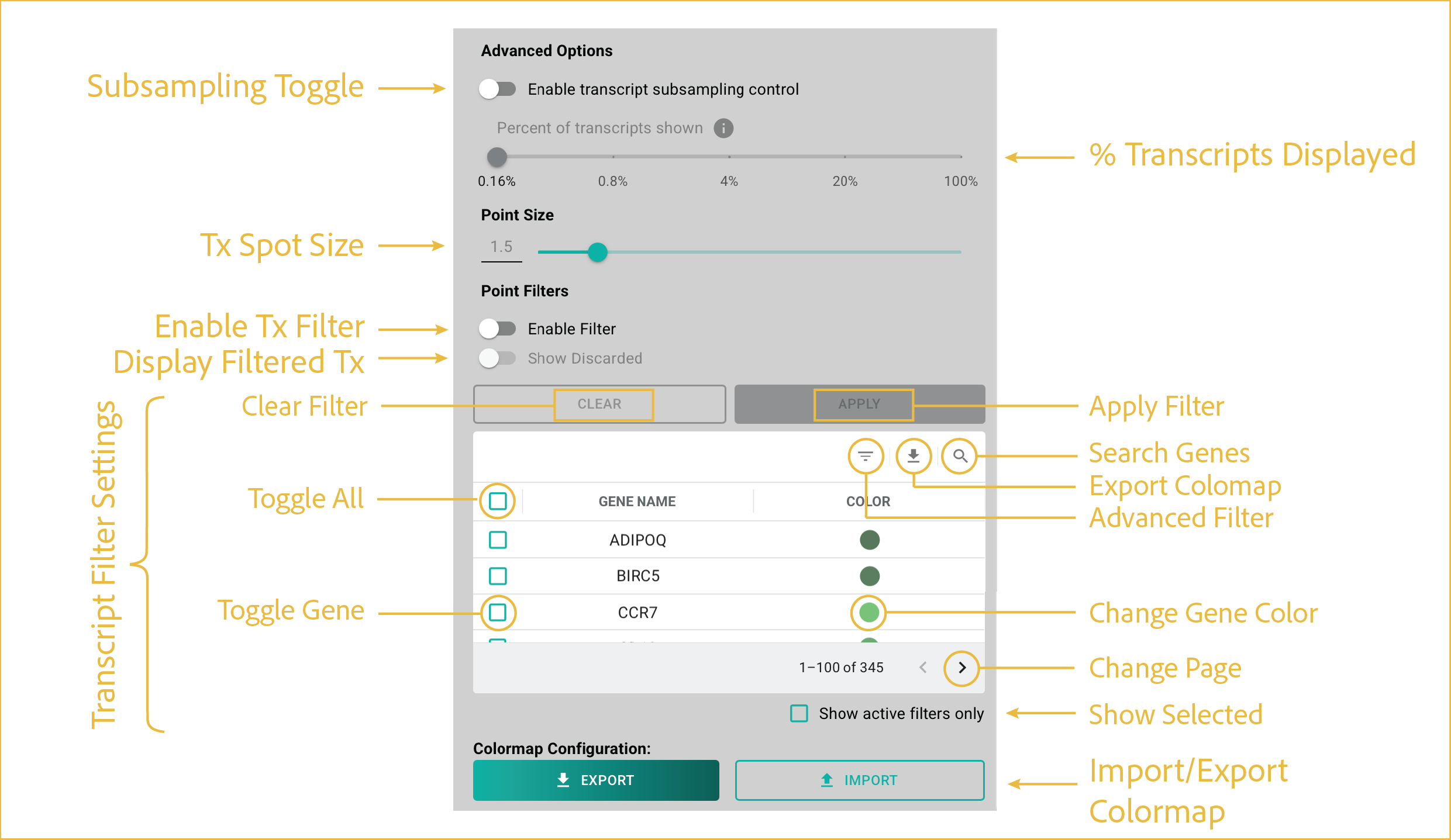 transcript layer controls